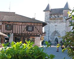 Villereal